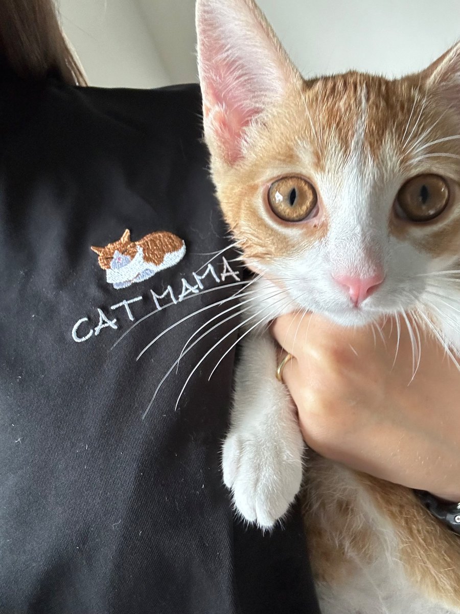 Сделала себе вышивку с этой егозой