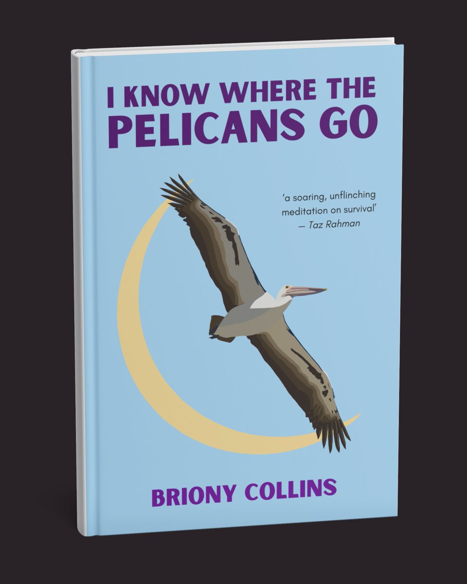 Atomic Bohemian (@atomicbohemian) on Twitter photo 🌊 COVER REVEAL 🪶
I Know Where the Pelicans Go by Briony Collins will kick off the next lineup of authors later this month. Keep an eye out, because preorders open soon!
atomicbohemian.com 🌊 COVER REVEAL 🪶
I Know Where the Pelicans Go by Briony Collins will kick off the next lineup of authors later this month. Keep an eye out, because preorders open soon!
atomicbohemian.com