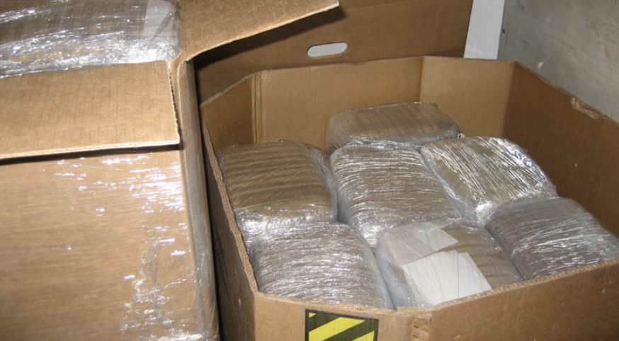 🚨 Más de cinco millones de plantas de cannabis incautadas en EE. UU. en 2024 🚨
La DEA reportó casi 6,000 arrestos federales relacionados con marihuana, mientras la legalización avanza en la mayoría de los estados: revistacronicas.com/mundo-cannabis…