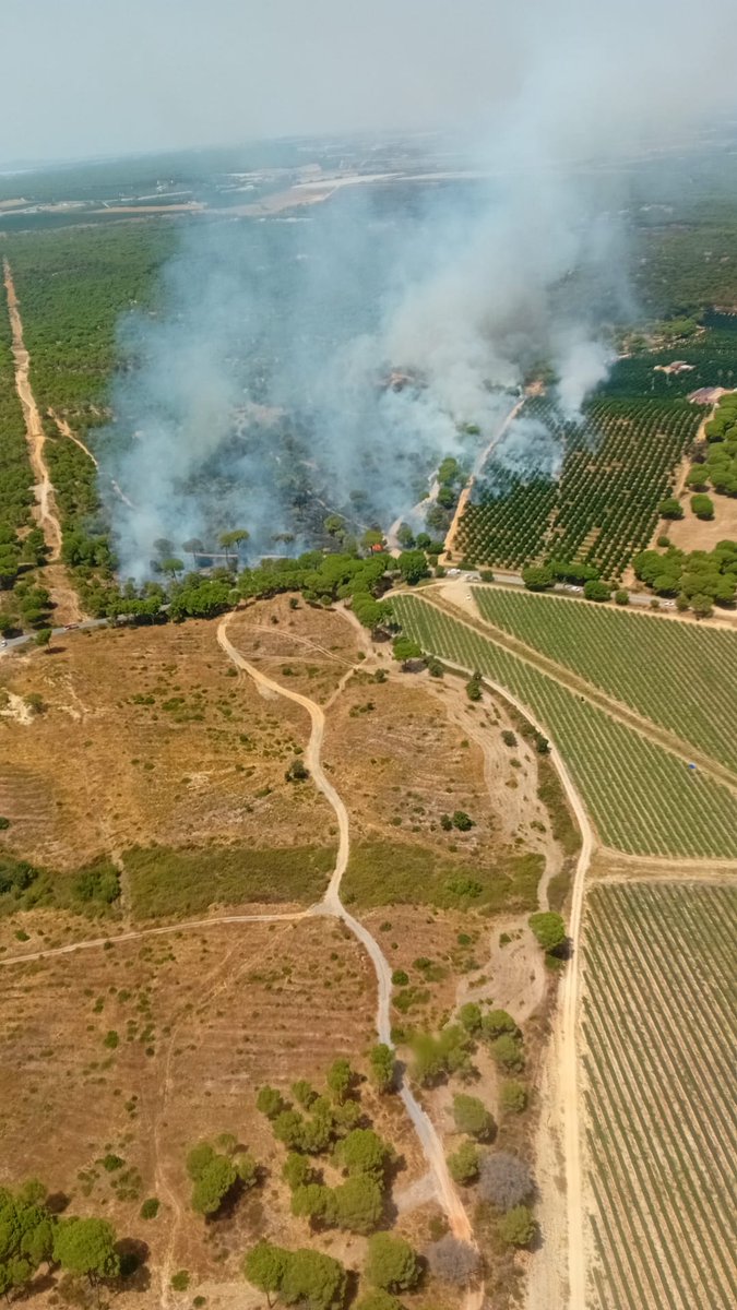 📆 04/08/2025 🕜 15.06 h.

🔴 ACTIVO | Incendio en #Aljaraque, #Huelva.
#IFAljaraque, en paraje “Cañada del Pozo del Judío".

MEDIOS:
🚁 2 semipesados, 1 pesado
🛩️ 2 carga en tierra
👩‍🚒 4 grupos de bomberos forestales, 2 #BRICA, 2 #TOP, 1 #AAMM
🚒 2 autobombas