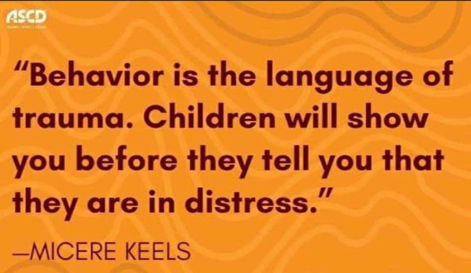 Trauma informed responsive practice needs to be understood. Otherwise, it will just be a focus on behaviour.The behaviour is a symptom. 🧠🌱