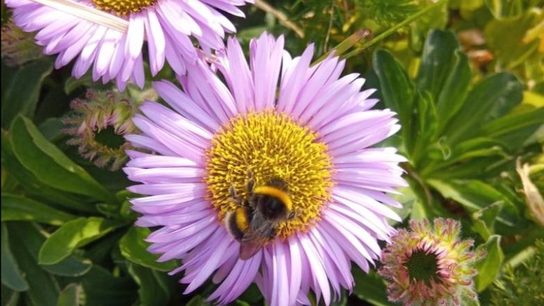 The August Digest is here - mailchi.mp/c11d1fe8ef26/l…