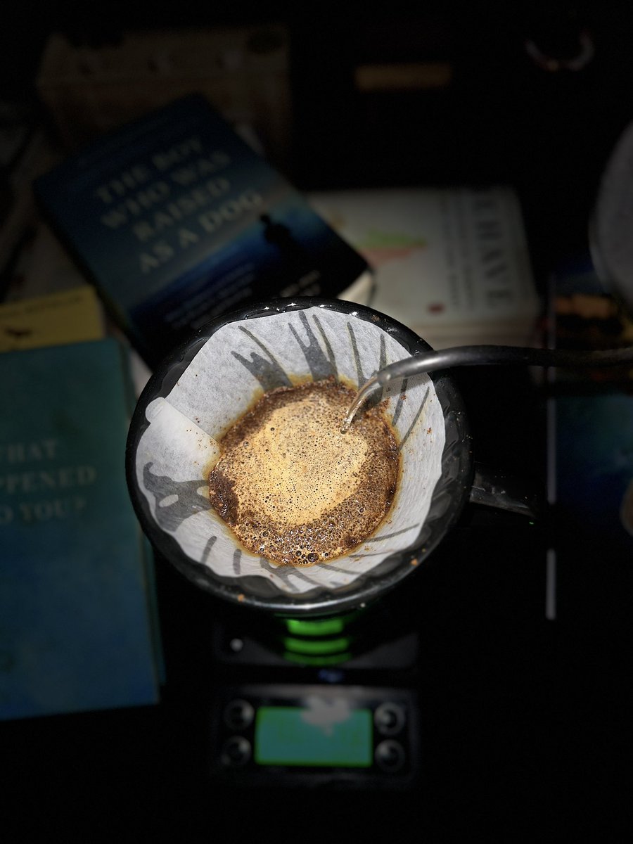 Rise (@rise11151) on Twitter photo 