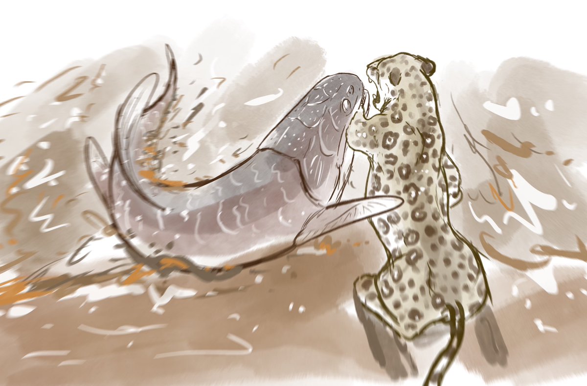Young hilahigante once they reach a meter long leave their parents and begin hunting larger game, at this size even this male jaguar is viable prey.

The fish’s powerful jaws and serrated rending teeth crush the cats arms and its armored head protects it from the cats own jaws.