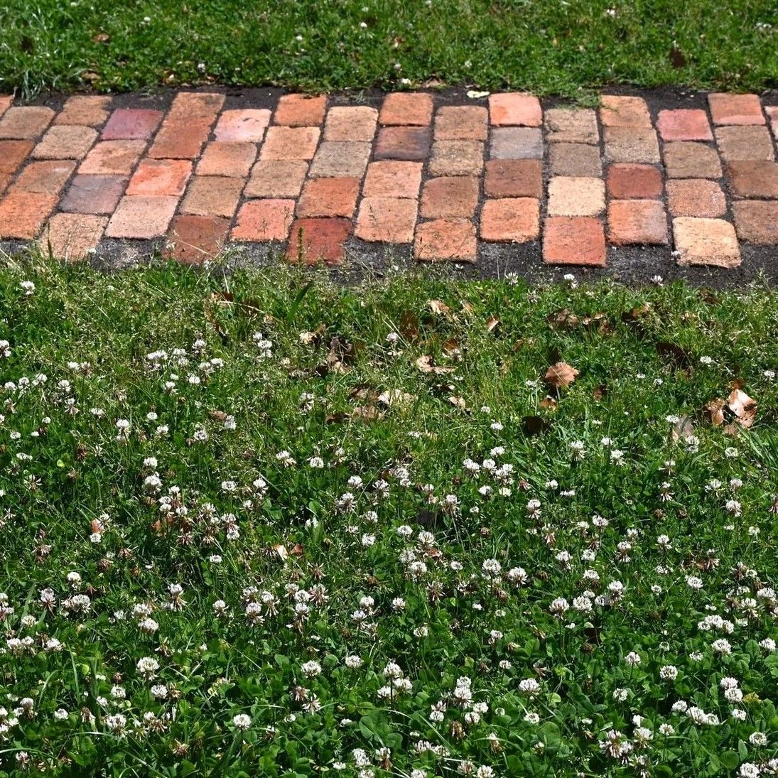 The average American lawn is an ecological disaster... needs constant watering, mowing, and chemical treatments to keep them looking even moderately good 

Lawns are the single largest irrigated “crop” in the U.S. at ~40 million acres planted, which more than corn, wheat, or