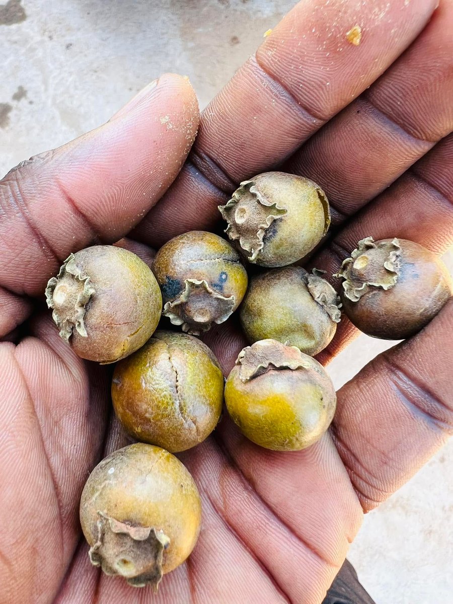 Better than strawberries 🍓 in my books😋