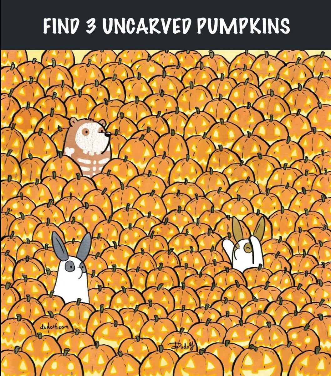 #zshq TRY THESE TWO.....
There are 9 animals hidden in the drawing.....(there mite be 10??)

Dont be shy 🙈 give it a try ☺️😉