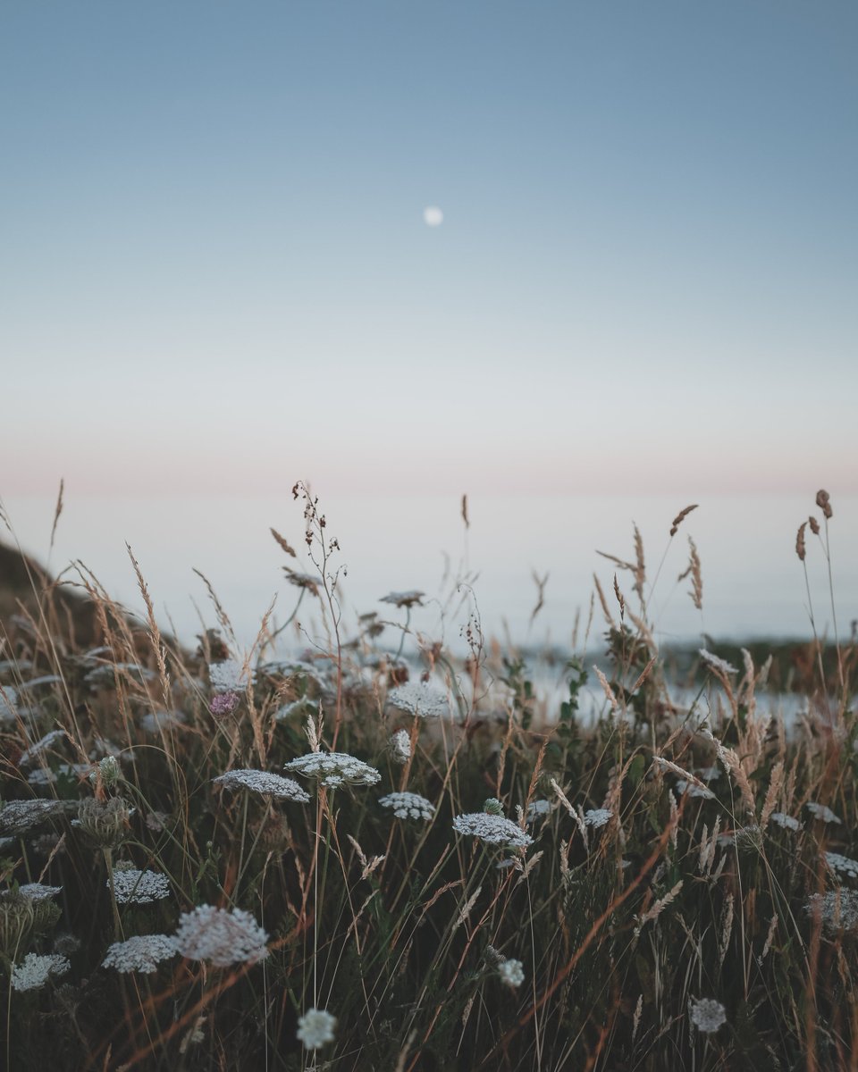 You talk when you cease to be 
at peace with your thoughts;
And when you can no longer 
dwell in the solitude of your 
heart you live in your lips, and 
sound is a diversion and a pastime.

~ Kahlil Gibran, “On Talking”
·

Dorset, England by Alice Tatham