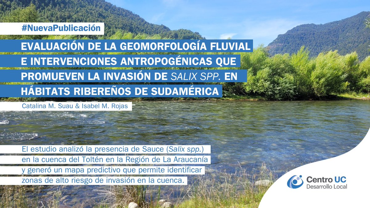#NuevaPublicación | Un nuevo estudio comprobó que la presencia de Sauce (Salix spp.), especie introducida en Chile, modifica características de hábitats ribereños. 🌳

🖥️ Revísala en centrodesarrollolocal.uc.cl.