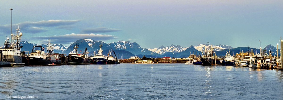 A beautiful evening in the Homer Boat Harbor. 📸