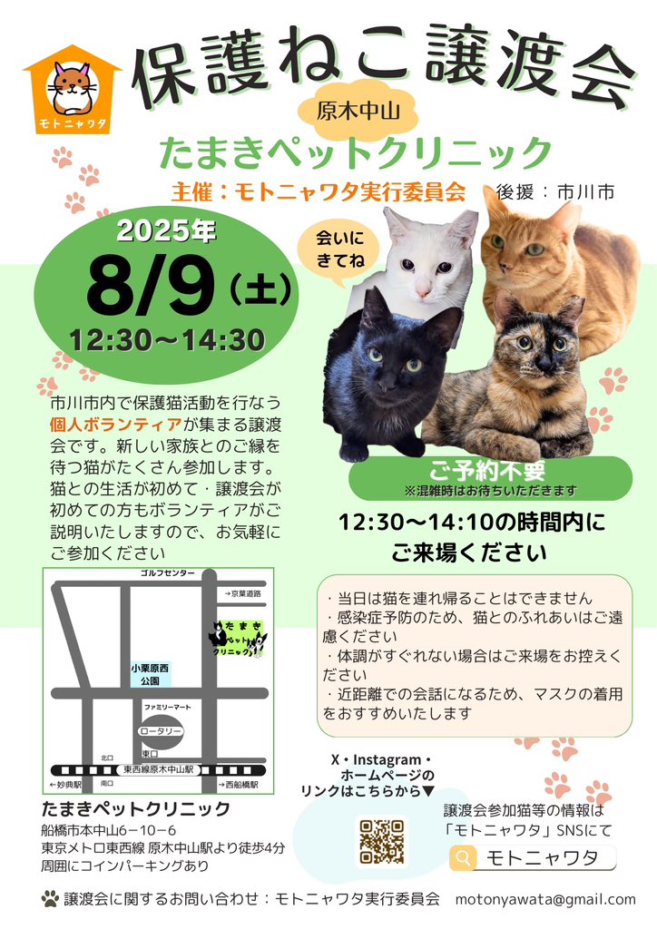 【8/9（土）譲渡会です！】

モトニャワタ保護ねこ譲渡会

8月9日（土）12:30〜14:30
（入場14:10まで）
原木中山の
たまきペットクリニックにて開催です。
ご予約不要です！😸

譲渡会が初めての方や猫との生活が初めての方、ご相談だけでもOK
