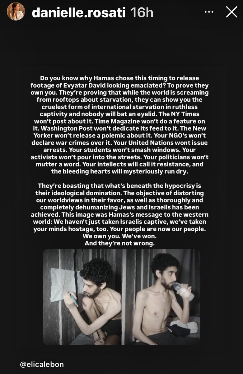 Cynnamon (@cyndlefnesor) on Twitter photo 