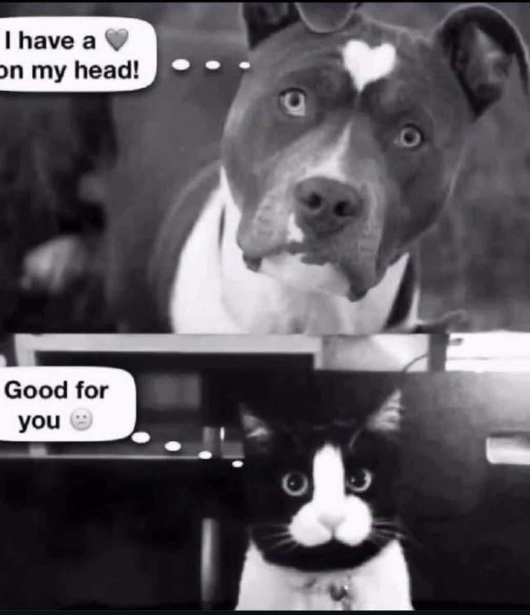 <a href="/gymlifeanimal/">🖤🌻Kris my ass🌻🖤</a> <a href="/herstarlitwords/">🧚Нєι∂ι נσу/α∂єℓιтα Αℓєgяια 💫🌹🪬🦊</a> <a href="/iamanutcase101/">ʍíՏԵɾҽՏՏ օƒ ʍɑվհҽʍ</a> <a href="/ZellnerMeagan/">🍂🍁Raiderlover75🍂🍁</a>