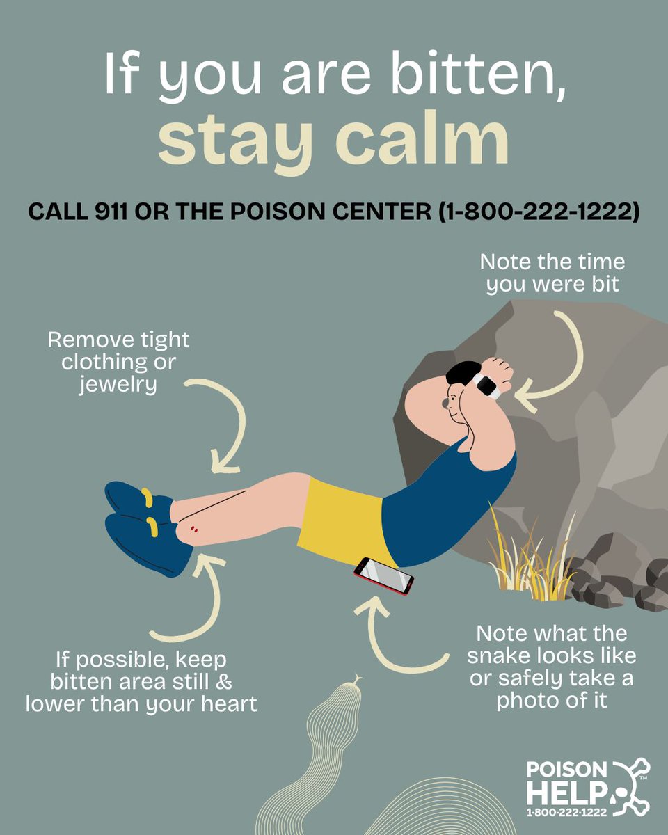 🐍 Snake bite? Call us first!

It’s rare, but snake bites do happen in Upstate New York.

If bitten, stay calm and call our poison center right away.

We’ll guide you step-by-step: 1-800-222-1222.