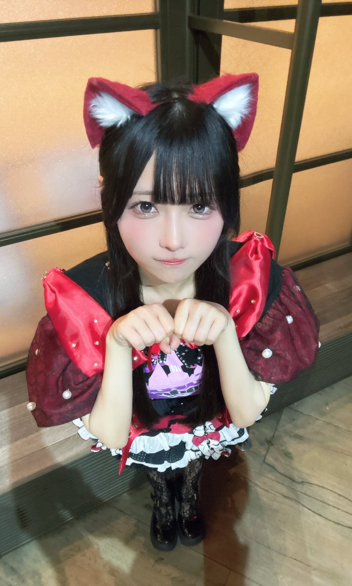 _mochizou_'s tweet photo. 室内外自由出入り式でおねがいします！ https://t.co/gwvxOXqNSL