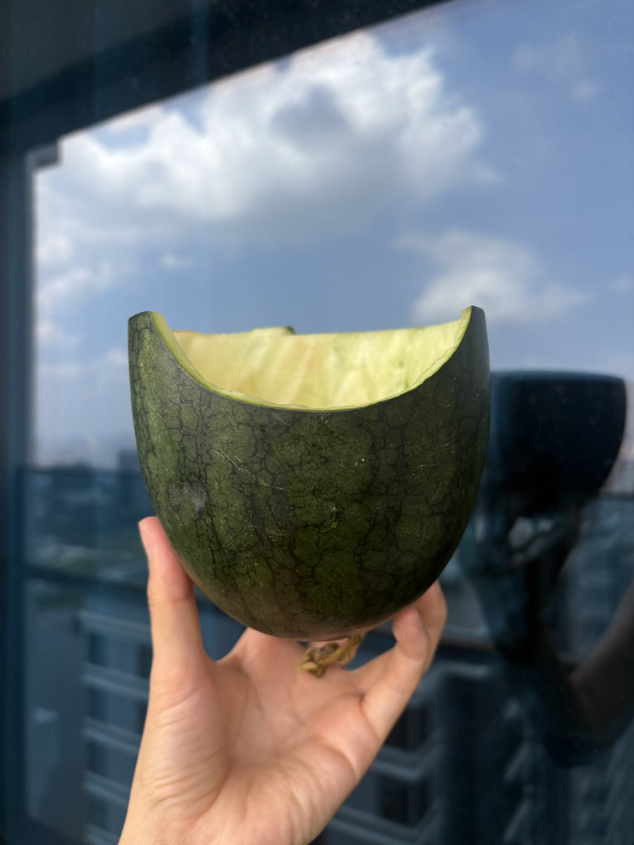 SoleilVux's tweet photo. She ate all the way to the rind. https://t.co/a2vp2UUACx