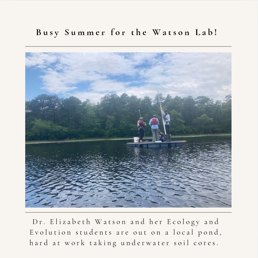 Busy summer for the Watson Lab! Dr. Elizabeth Watson and her Ecology and Evolution students are out on a local pond, hard at work taking underwater soil cores. So cool! #ecology #evolution #research