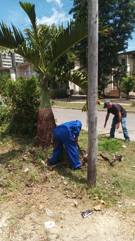 Hoy comenzó agosto con su primer viernes y el colectivo de trabajadores de la UEB Servicio al Ferrocarril de Ferrocarril Cuba realizó su cambio de labor tanto en sus áreas, como en las de la  localidad, con motivo al natalicio de nuestro Comandante en Jefe. #FidelPorSiempre