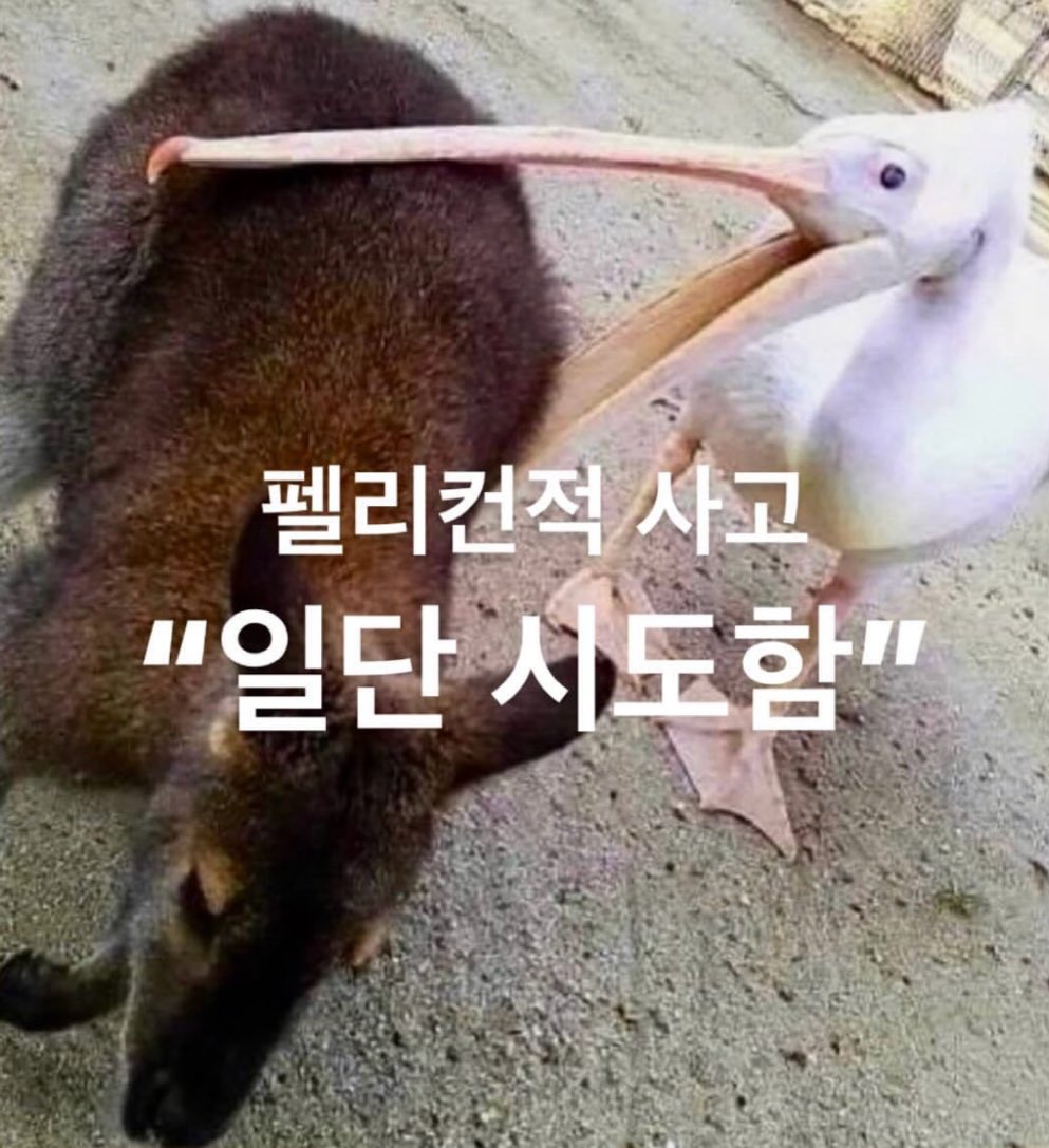 ㅅㅂ진짴
