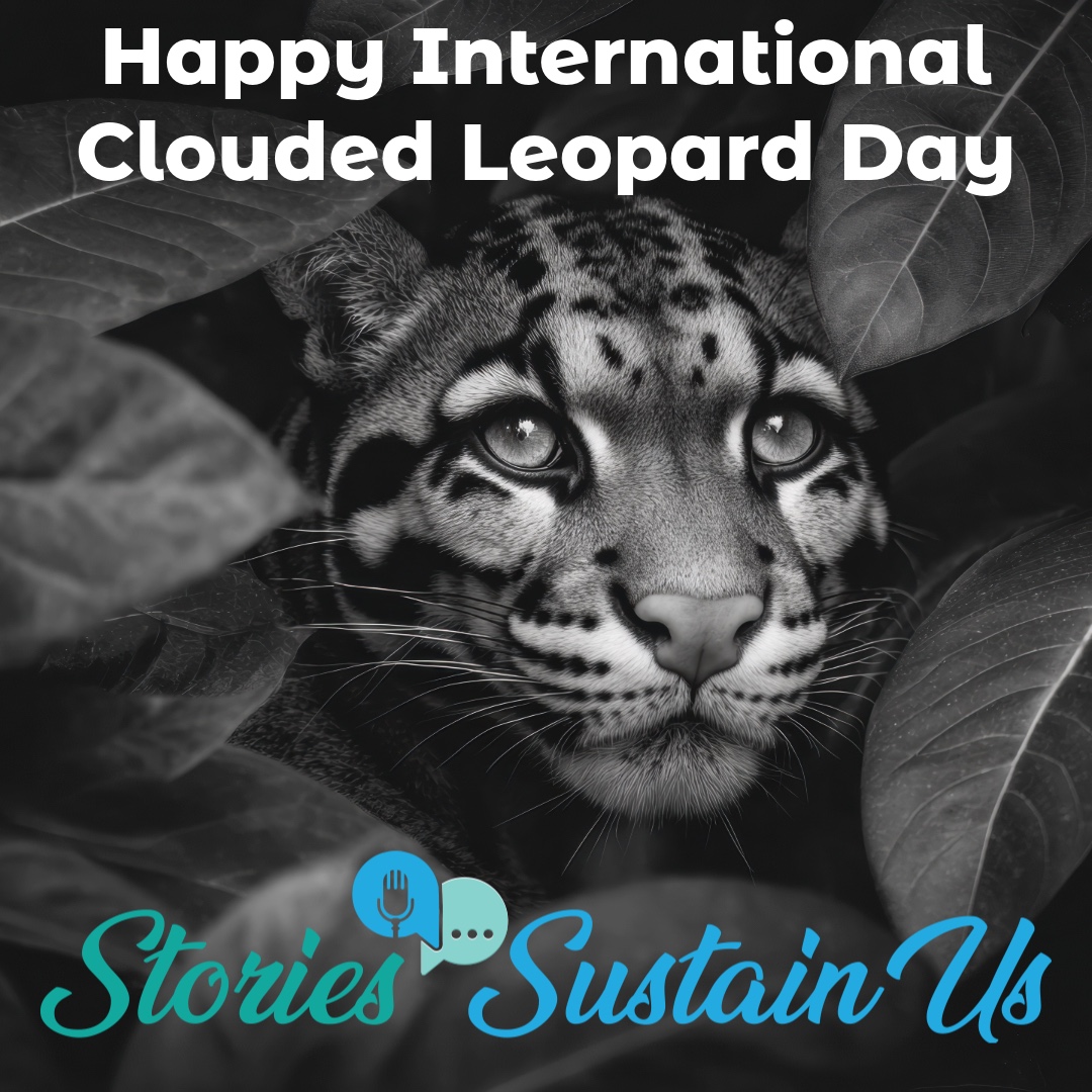 Stories Sustain Us tweet media