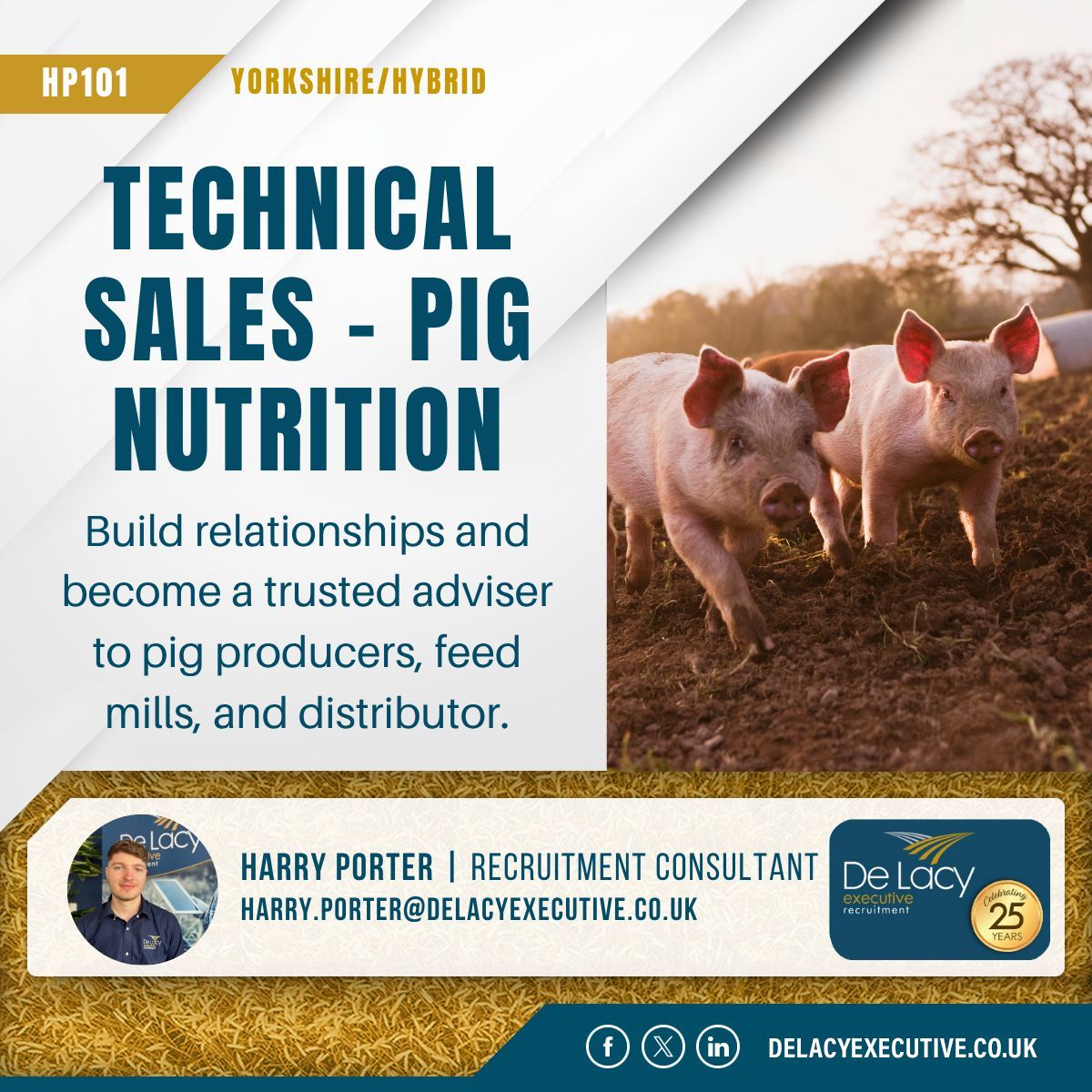 Want the chance to influence pig production on a national scale?

You’ll be working with pig producers and feed businesses across the UK, offering tailored nutritional support that helps them achieve better results on farm.

Apple here: delacyexecutive.co.uk/jobs/hp101-tec… 

#Hiring