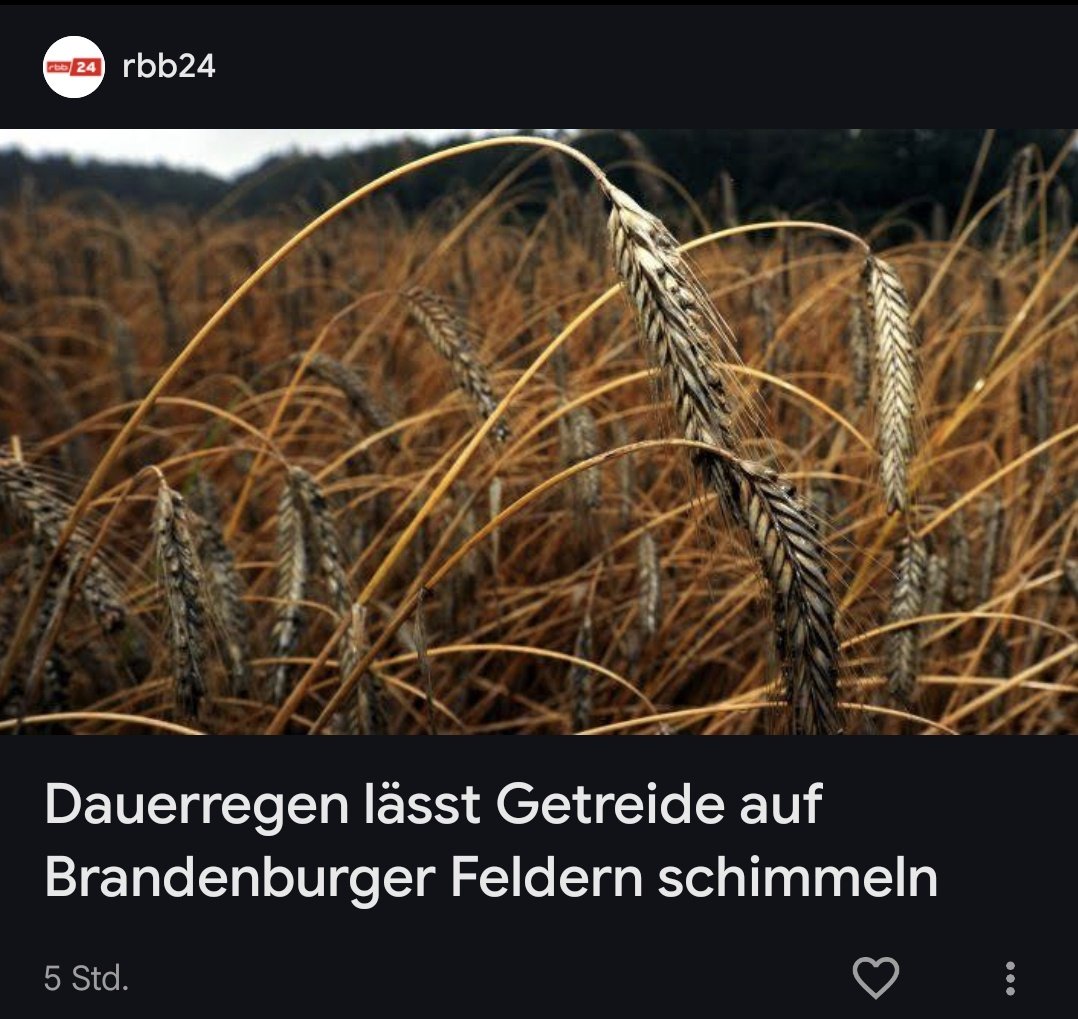 Entweder Einbußen durch jahrelange Dürre oder die Ernte schimmelt einfach direkt auf dem Feld weg.

Und die Menschen, die dieses und später noch schlimmere, klimatische Bedingungen zu verantworten haben, wollen mich jetzt an der Waffe und bis 75 arbeiten sehen.

Es hackt.