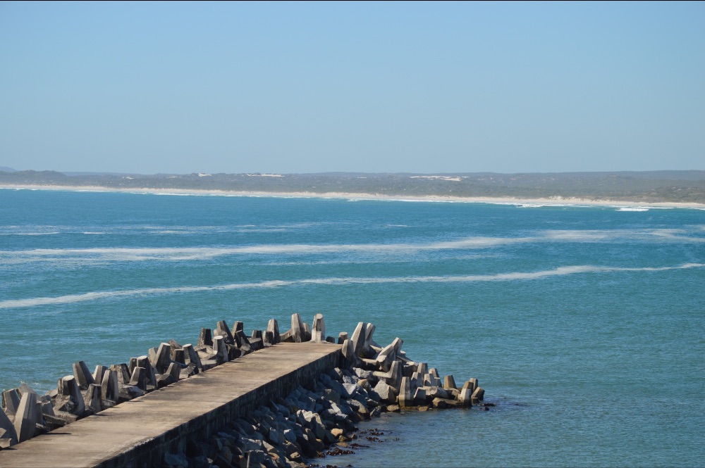 I 💜 Weskus Newsletter - mailchi.mp/5656397a34c5/i…

PHOTO: Nicole Rothman

Location: Yzerfontein