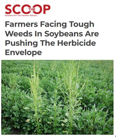 NAAA (@agaviationnaaa) on Twitter photo Are farmer-growers contacting you about late soybean herbicide application? Read this article for a few considerations as the crop enters reproductive stages in the late summer months: thedailyscoop.com/news/retail-bu… Are farmer-growers contacting you about late soybean herbicide application? Read this article for a few considerations as the crop enters reproductive stages in the late summer months: thedailyscoop.com/news/retail-bu…