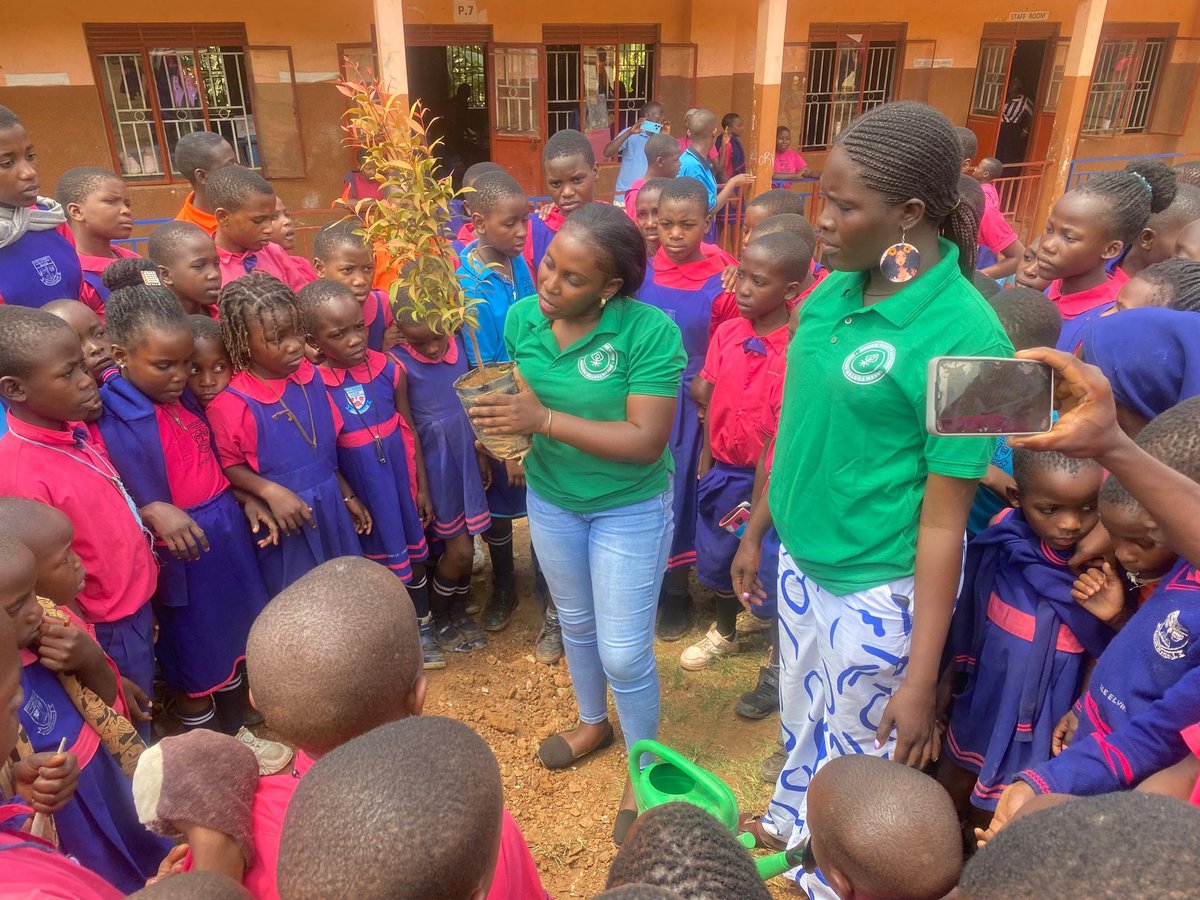 GreFa_Ug's tweet photo. Bright Generation Goes Green with GreFA

 Today, we had an amazing time at Bright Generation Nursery &amp; Primary School, Kalisizo District, where 200+ young eco-champions learned, planted, and pledged to protect our planet 
Highlights of the day included:

✅ 10 new trees 
1/3 https://t.co/Smy2Aa7DHW