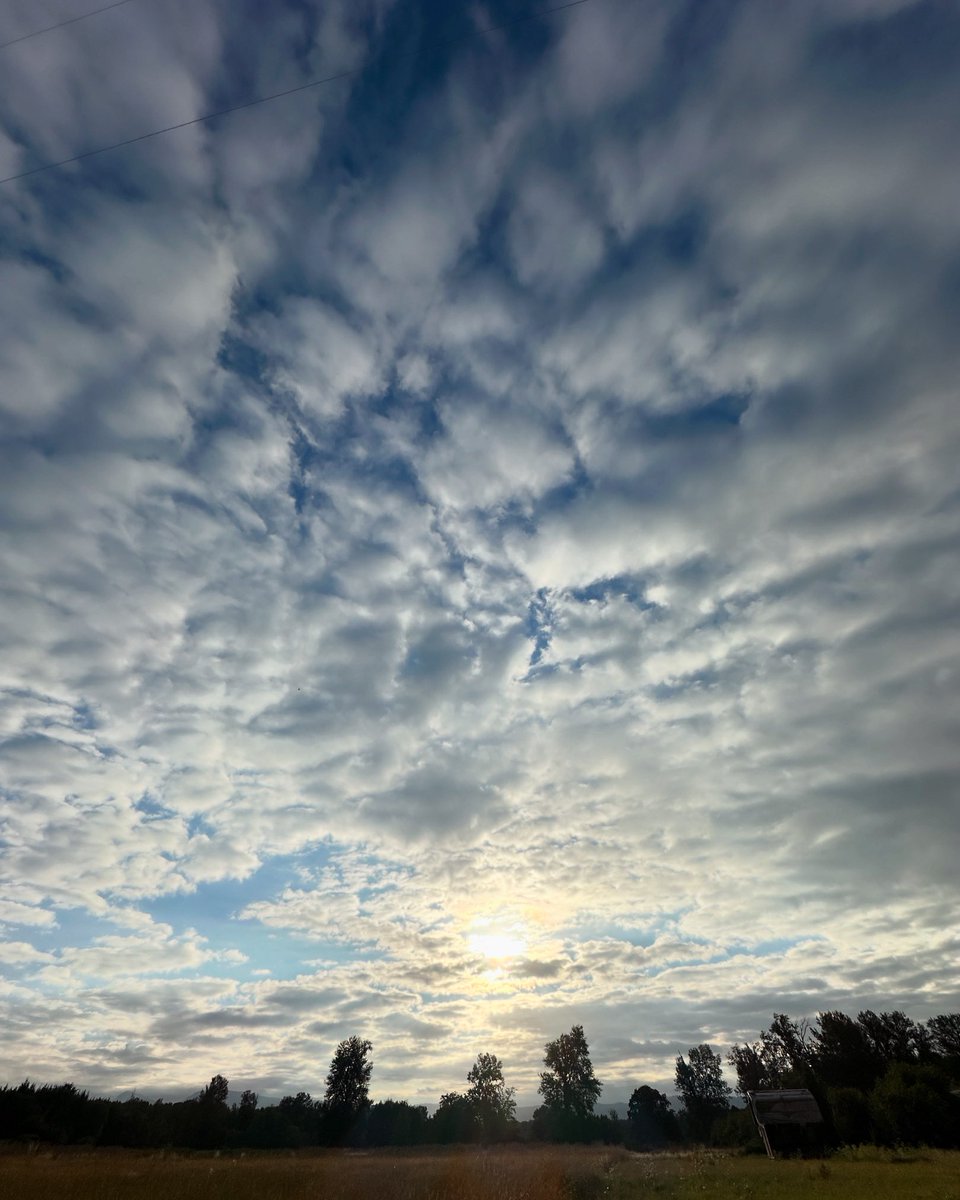 Neil Patton tweet media