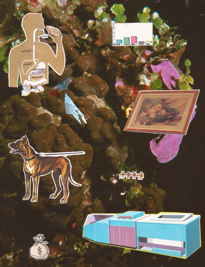 A series of analog collages on <a href="/objktcom/">objkt</a> , affordably priced to encourage multi-piece collecting 😊

☠️ Atragantada: objkt.com/tokens/hicetnu…

🐢 Una excursión: objkt.com/tokens/hicetnu…

💰 En pausa: objkt.com/tokens/hicetnu…