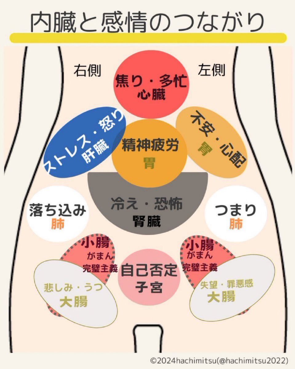 精神疲労って肝臓かと思っていたら、実は『胃』なんですよね。お仕事忙しくて精神的に限界ってなるまでに胃を優しく引っ張って。忙し過ぎる方は胸の骨のいちばん下の辺りを優しくね
