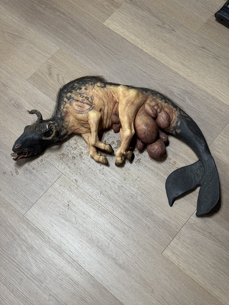 Neill Blomkamp tweet media