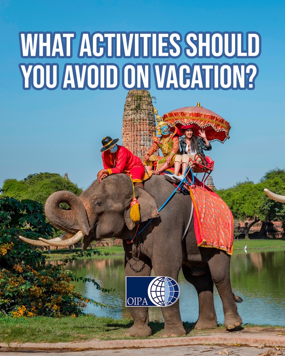 ‼️What should you avoid doing on vacation?
We wrote a practical guide reminding you of the entertainment activities that exploit animals.

Find more on our website 👉oipa.org/international/…