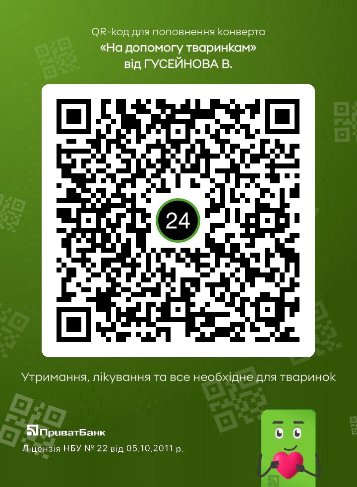 ГО «Пухнасті обійми» (@help_animals_dn) on Twitter photo 💳 4441 1110 2463 2535 - MONObank
💳 5363542013637252 - ПриватБанк
5355280041109032 - пумб
💵 PayPal: sherr1989@ukr.net
Розрахунковий номер :
UA193220010000026001700001477
#допомога #важливо #підтримка #тваринки #притулок #україна #дніпро #війна #мир #любов #щастя #клітка 💳 4441 1110 2463 2535 - MONObank
💳 5363542013637252 - ПриватБанк
5355280041109032 - пумб
💵 PayPal: sherr1989@ukr.net
Розрахунковий номер :
UA193220010000026001700001477
#допомога #важливо #підтримка #тваринки #притулок #україна #дніпро #війна #мир #любов #щастя #клітка