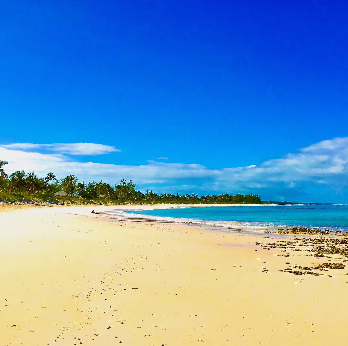 SeasonedTrav's tweet photo. I can certainly get behind this #Top4Theme
Letโs #Top4Sand with @obligatraveler
1. Pink Sand Beach, Harbour Island, #Bahamas
2. Grace Bay, #TurksandCaicos
3. Elbow Cay, Bahamas
4. #Barbuda https://t.co/YmvmFvUXWa