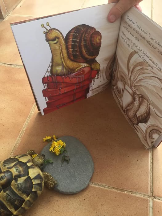 We love seeing YOUR #tortoises + #turtles with our #ALBERTthetortoise #books. Like this pal of real ALBERT tucking into their copy of #picturebook ALBERT AND THE WIND and some #dandelions. #AvailableNow 8 ALBERT picturebooks, 3 #BoardBooks &amp; #ActivityBook Alberttortoise.com