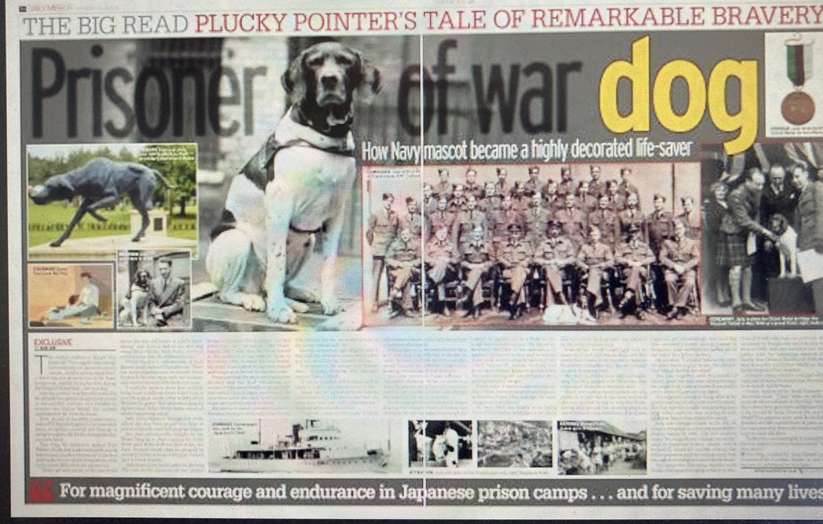 Tom Palmer (@tompalmerauthor) on Twitter photo We were very excited that WAR DOG and Judy had a double-page spread in the <a href="/DailyMirror/">The Mirror</a> this weekend. You can read more about the only animal to be an official POW here:
mirror.co.uk/news/uk-news/p… We were very excited that WAR DOG and Judy had a double-page spread in the <a href="/DailyMirror/">The Mirror</a> this weekend. You can read more about the only animal to be an official POW here:
mirror.co.uk/news/uk-news/p…