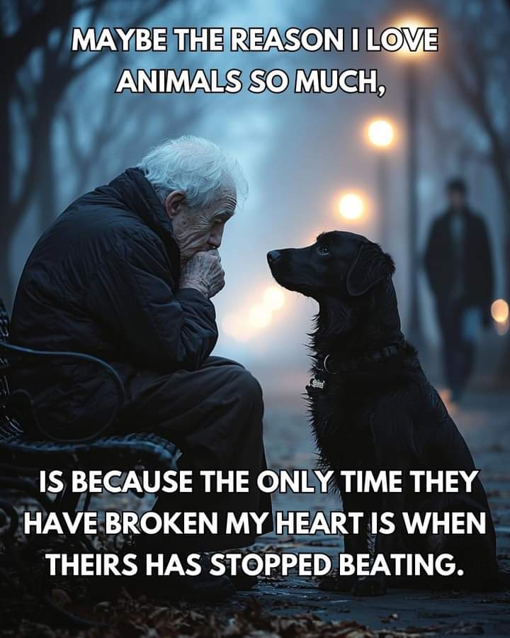 Miss Mona (@whalenmona) on Twitter photo <a href="/PaulMer53/">PAULWALES THE CRAZY TRAIN 🤟 GUNS N ROSES 🌹</a> <a href="/FrankKane11/">Kane's Street Smarts</a> <a href="/whale20564/">Miss M</a> <a href="/bdonesem/">💞 𝔀𝓱𝓲𝓼𝓹𝓮𝓻 💞 ( 𝓐𝓵 ) 😘</a> <a href="/rtjob700/">Tom Holman</a> <a href="/Bagel69er/">🇺🇸🇺🇸🇺🇸Bagel Colorado❤️🤍💙</a> <a href="/JackMedia7/">AMERICANDREAM09 🇺🇸 Jack Media ~DREAM</a> <a href="/smontijo02/">PixelPusher</a> <a href="/GilbertWanda/">Wanda Gilbert🔥</a> <a href="/Spooks/">Rocket_Medic</a> <a href="/JohnRotte2/">John Rotte</a> <a href="/MoviesDoe/">🇺🇸Half Past Midnight🇺🇸</a> <a href="/RonnieIrby1951/">Ronnie Irby - Crazy Cajun</a> <a href="/smitty195562359/">Smitty1955</a> <a href="/FaccettaNero/">Angela Bruzzese</a> <a href="/PatriotTN75/">BRY ₃.₀ 🐅</a> <a href="/JakeCan72/">Jake</a> <a href="/marijotrue/">MariJo</a> <a href="/ricphy2/">ricphy</a> <a href="/DaSilva70708/">DA SILVA🇧🇷🇺🇸🇮🇱</a> <a href="/TerriPaul214940/">Terri Paul</a> <a href="/ProjektJncojok/">⚔️ 𝕆ℝ𝕀𝔾𝕀ℕ𝔸𝕃 𝕁𝕁 ⚔️</a> <a href="/PaulMer53/">PAULWALES THE CRAZY TRAIN 🤟 GUNS N ROSES 🌹</a> <a href="/FrankKane11/">Kane's Street Smarts</a> <a href="/whale20564/">Miss M</a> <a href="/bdonesem/">💞 𝔀𝓱𝓲𝓼𝓹𝓮𝓻 💞 ( 𝓐𝓵 ) 😘</a> <a href="/rtjob700/">Tom Holman</a> <a href="/Bagel69er/">🇺🇸🇺🇸🇺🇸Bagel Colorado❤️🤍💙</a> <a href="/JackMedia7/">AMERICANDREAM09 🇺🇸 Jack Media ~DREAM</a> <a href="/smontijo02/">PixelPusher</a> <a href="/GilbertWanda/">Wanda Gilbert🔥</a> <a href="/Spooks/">Rocket_Medic</a> <a href="/JohnRotte2/">John Rotte</a> <a href="/MoviesDoe/">🇺🇸Half Past Midnight🇺🇸</a> <a href="/RonnieIrby1951/">Ronnie Irby - Crazy Cajun</a> <a href="/smitty195562359/">Smitty1955</a> <a href="/FaccettaNero/">Angela Bruzzese</a> <a href="/PatriotTN75/">BRY ₃.₀ 🐅</a> <a href="/JakeCan72/">Jake</a> <a href="/marijotrue/">MariJo</a> <a href="/ricphy2/">ricphy</a> <a href="/DaSilva70708/">DA SILVA🇧🇷🇺🇸🇮🇱</a> <a href="/TerriPaul214940/">Terri Paul</a> <a href="/ProjektJncojok/">⚔️ 𝕆ℝ𝕀𝔾𝕀ℕ𝔸𝕃 𝕁𝕁 ⚔️</a>