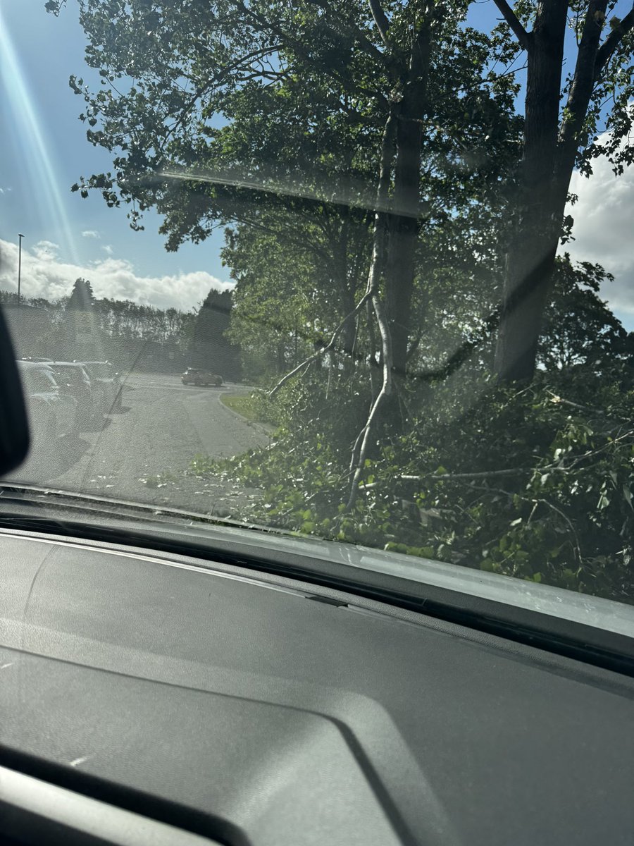Gowsikan21's tweet photo. @NewcastleCC hi guys, big tree has lost quite a lot of branches and falls risk with cars parked right next to it. Location: Kingston Park and Ride. This big branch is resting on a much smaller branch. https://t.co/xf10KeVrVV