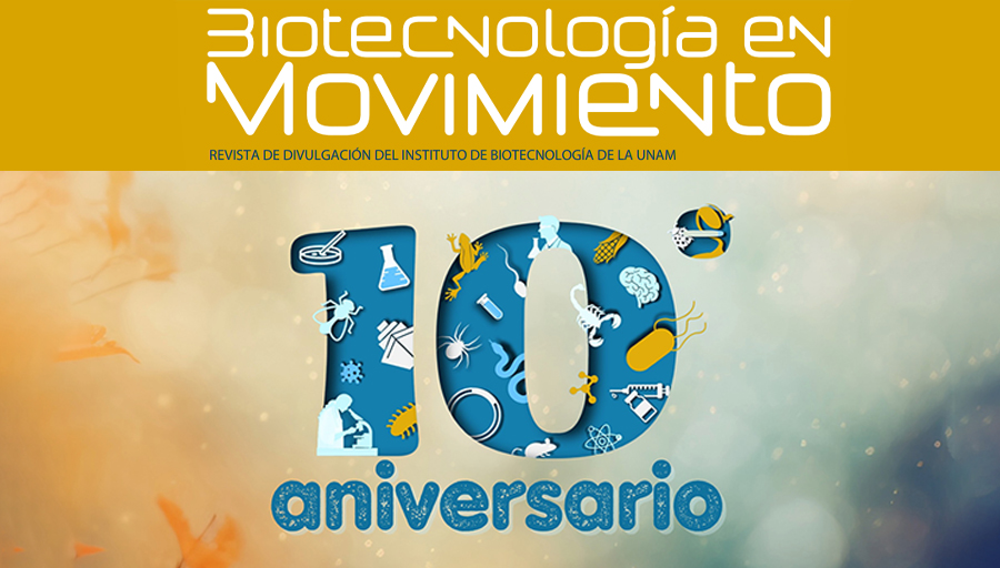 UNAM (@unam_mx) on Twitter photo Poner la “Biotecnología en Movimiento” es aprovechar el potencial farmacológico de las ranas 🐸💊, o limpiar los océanos con ayuda de las bacterias “come plástico” 🦠🌊. Infórmate sobre estos y otros temas con la revista del <a href="/ibt_unam/">Instituto de Biotecnología UNAM</a>, que celebra su 10° aniversario 🎉> Poner la “Biotecnología en Movimiento” es aprovechar el potencial farmacológico de las ranas 🐸💊, o limpiar los océanos con ayuda de las bacterias “come plástico” 🦠🌊. Infórmate sobre estos y otros temas con la revista del <a href="/ibt_unam/">Instituto de Biotecnología UNAM</a>, que celebra su 10° aniversario 🎉>