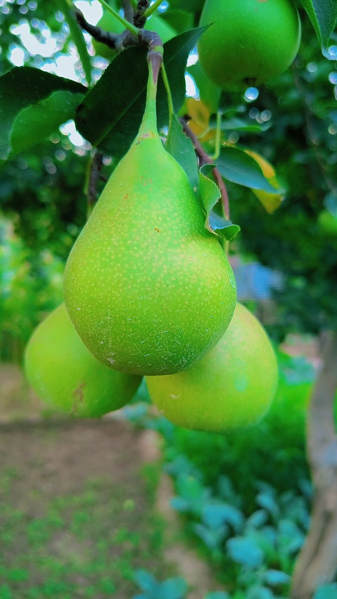 Alhamdulillah.

❤️😊❤️