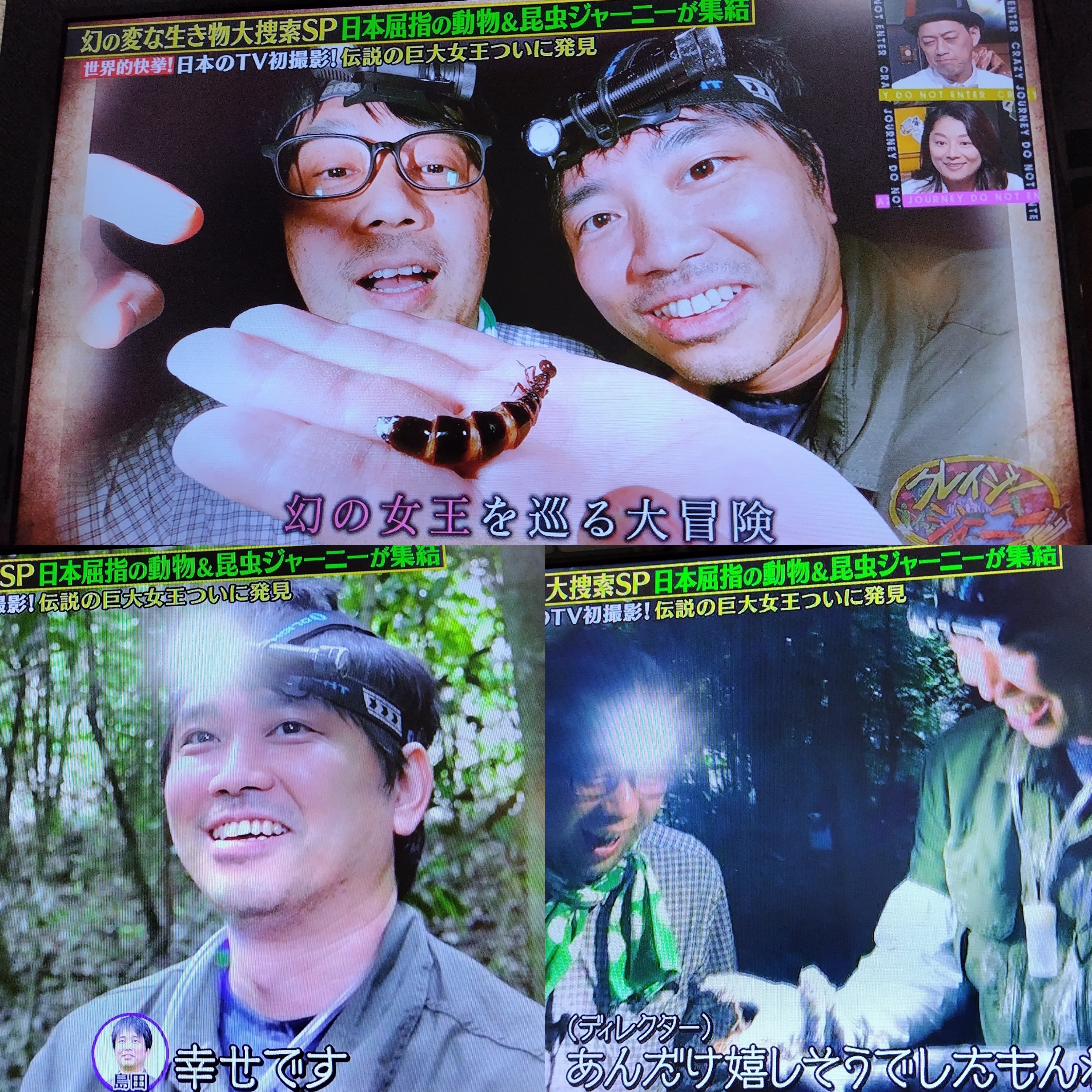 クレイジージャーニー　【１〜６】 クレイジージャーニー - Search / X