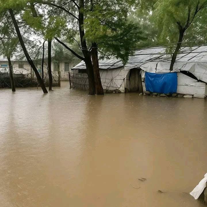 Top two priority agendas of #Tigray

1. Emergency response to drought-stricken area of Qola Tembien

2. Returning IDPs who are about to spend 5th rainy season in torn and muddy tents. 

The rest can follow later.