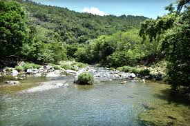 He visto en redes sociales una discusión entre políticos del actual senador Rogelio Genao y el Ex senador Euclides Sánchez,no busquemos boicotear la Presa de Guagui,La Vega necesita esa obra, el acueducto de seguir la sequía rio Camu no habra agua en 10 años y sufrirá el pueblo.