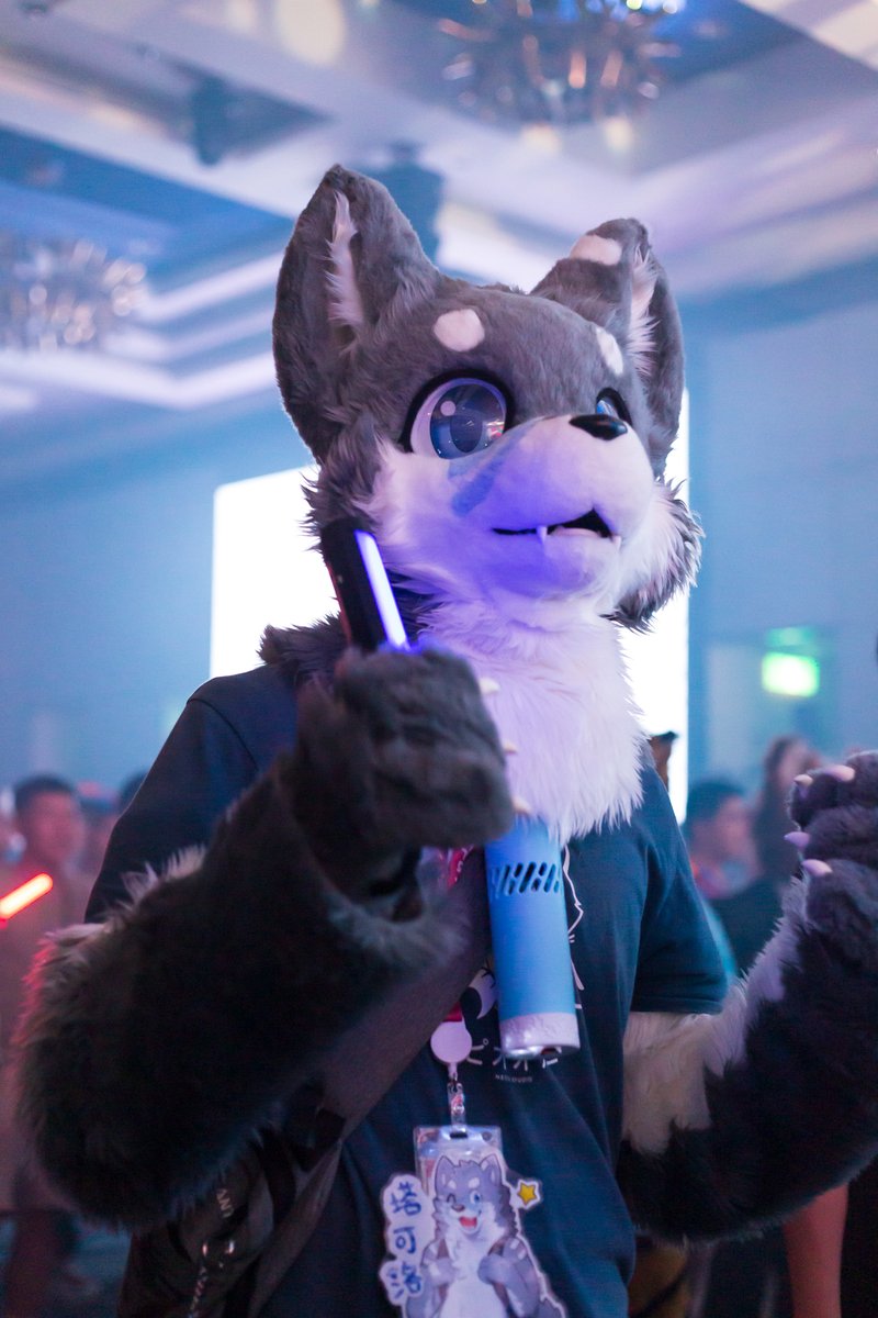 めっちゃ可愛く踊っていた☺️
<a href="/Takoro_doge/">塔可洛/タコロ🐶 ➡️獸無限Infurnity➡️？</a> 
#UTFG2025