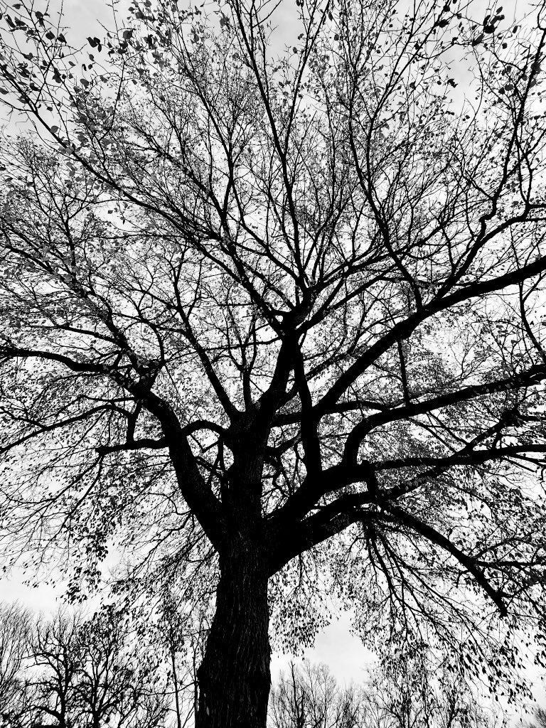 Happy monochrome Monday people