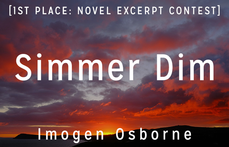 "The night before departing, Lux Crawford dreams of stone colored light and falling bodies."

—Imogen Osborne, "Simmer Dim"

Read here: mastersreview.com/novel-excerpt-…