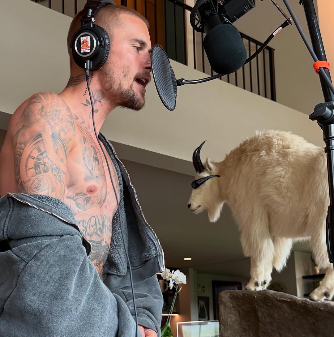 journalzation's tweet photo. just wonder whats the goat looking at 
goat looking at the GOAT’s tattoos 
like is he jealous of the eagle or what 😂 https://t.co/lWxsiZ2TZ1