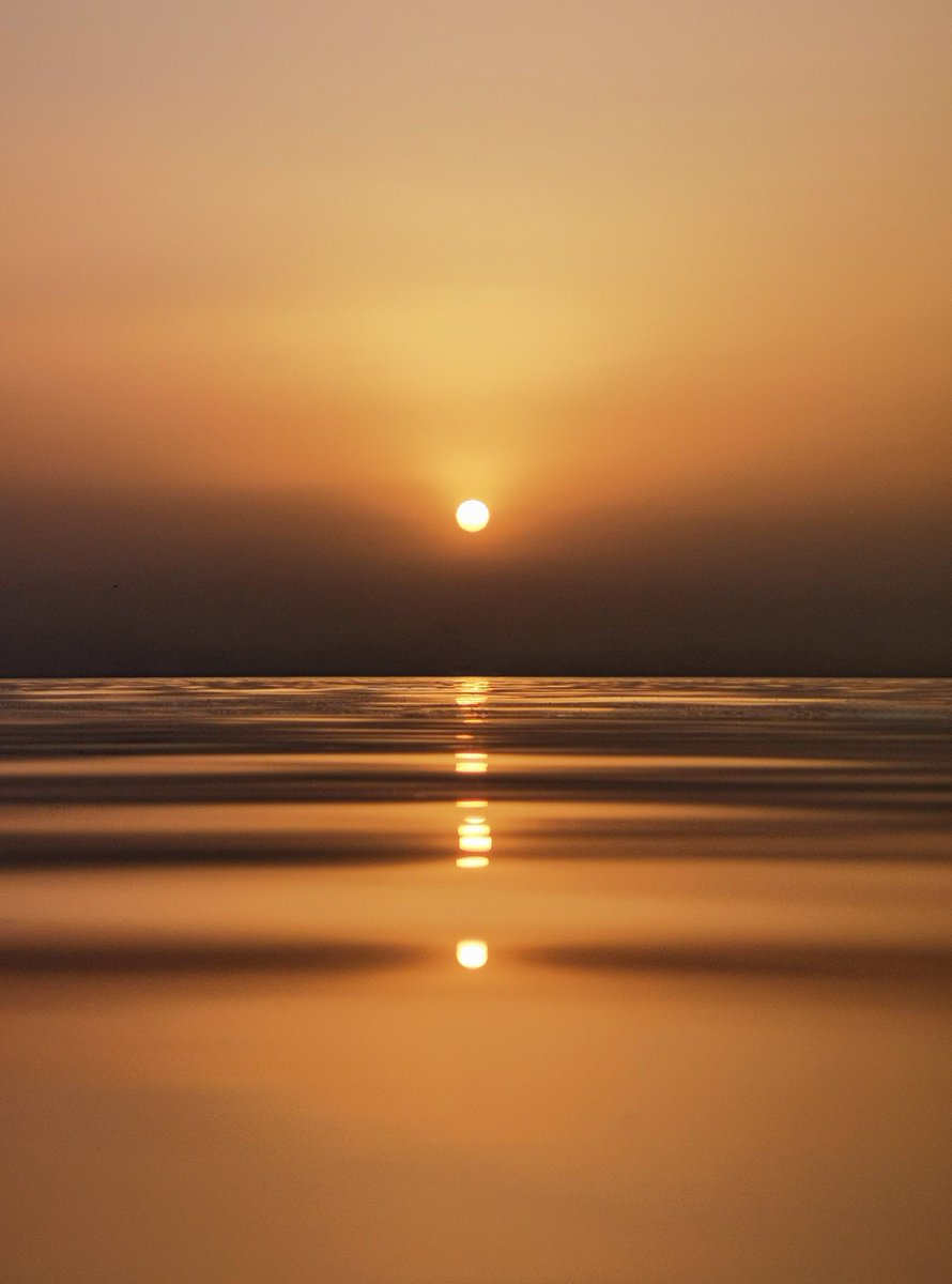 نبيه (@mohamednabih72) on Twitter photo 